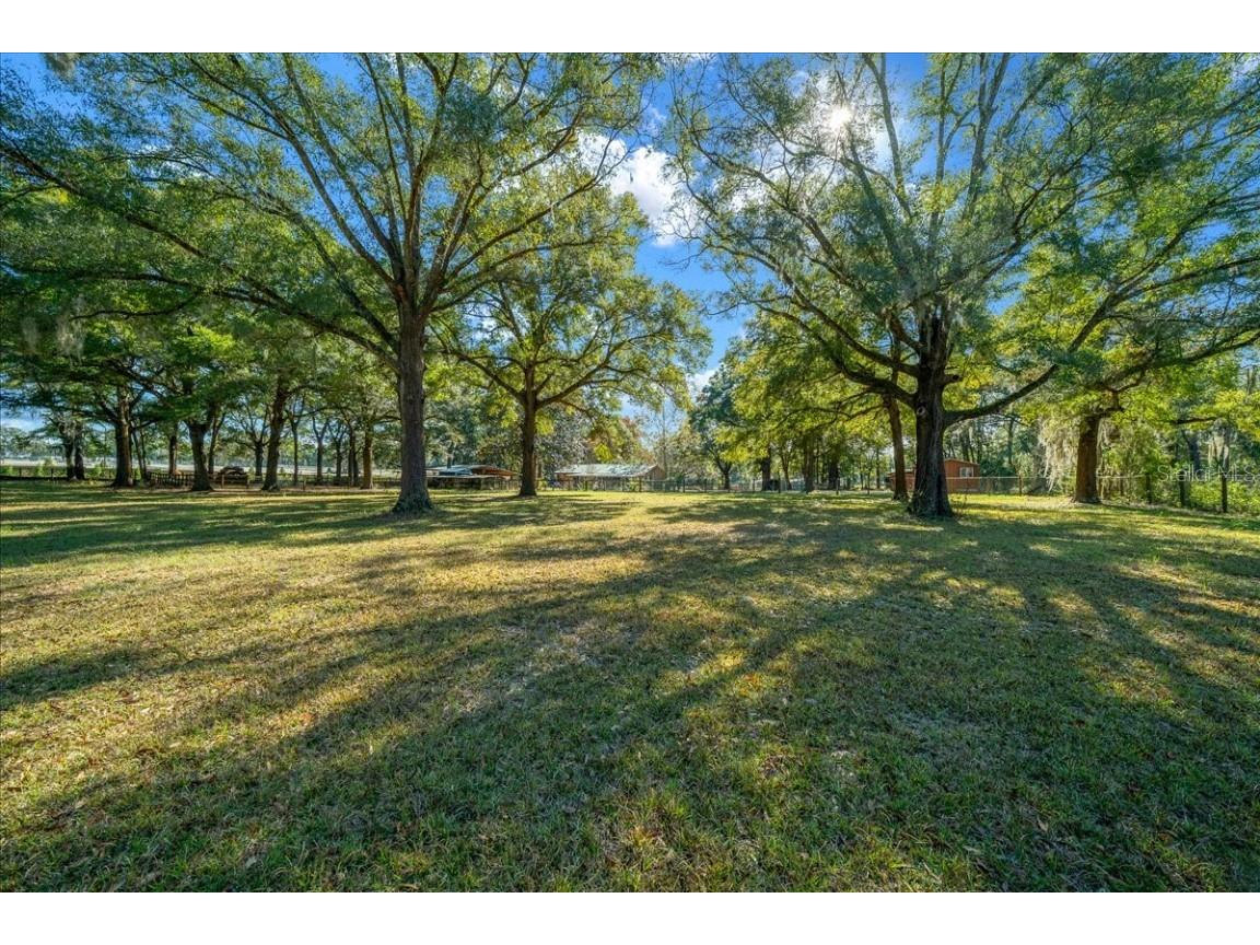 7025 NW 5th Lane Ocala FL 34482 OM714983 image33