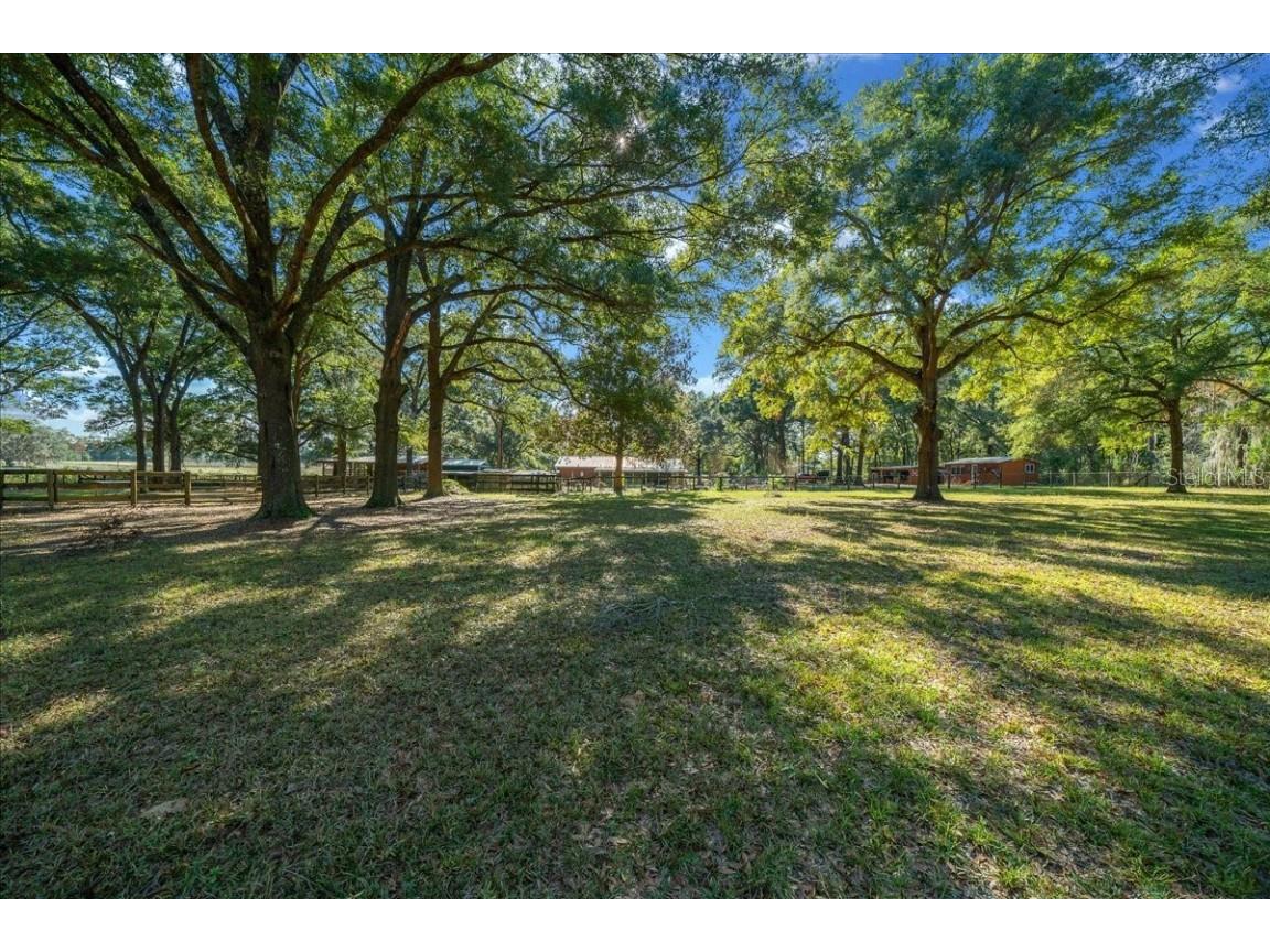7025 NW 5th Lane Ocala FL 34482 OM714983 image35