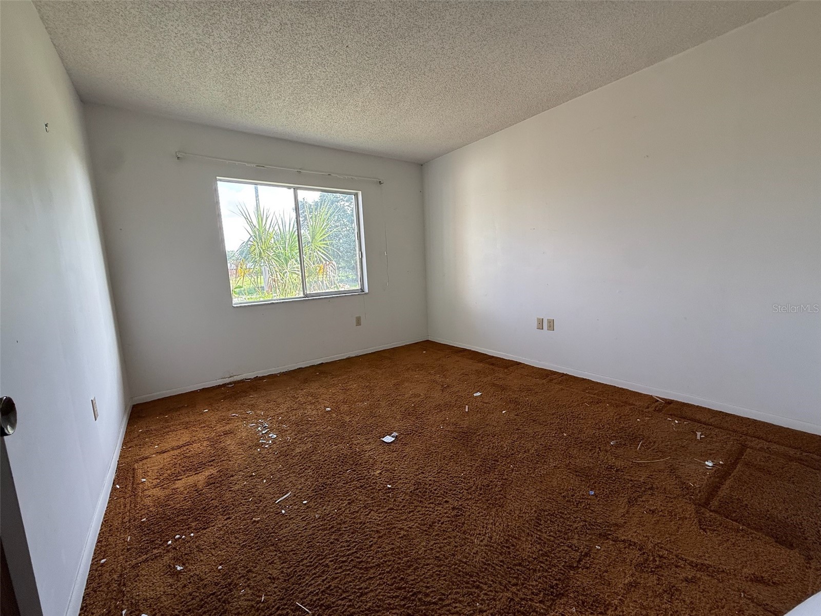 7026 68th Avenue N Pinellas Park FL 33781 TB8511129 image19