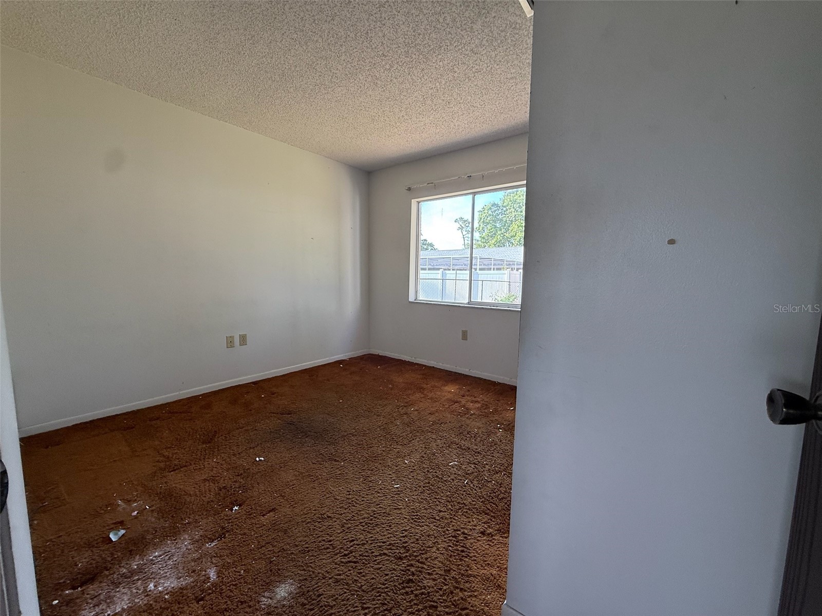 7026 68th Avenue N Pinellas Park FL 33781 TB8511129 image21