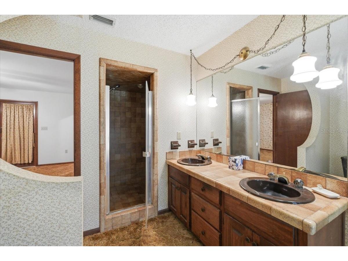 7026 Willow Run Loop Lakeland FL 33813 P4938944 image50