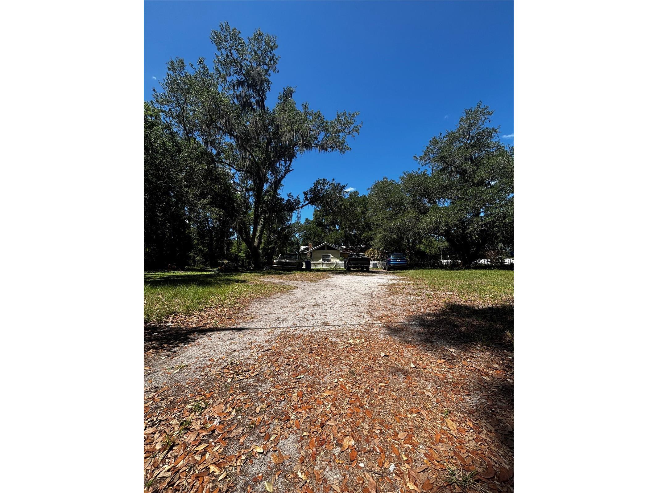 7027 Charles Humphrey Road Plant City FL 33565 L4961181 image1