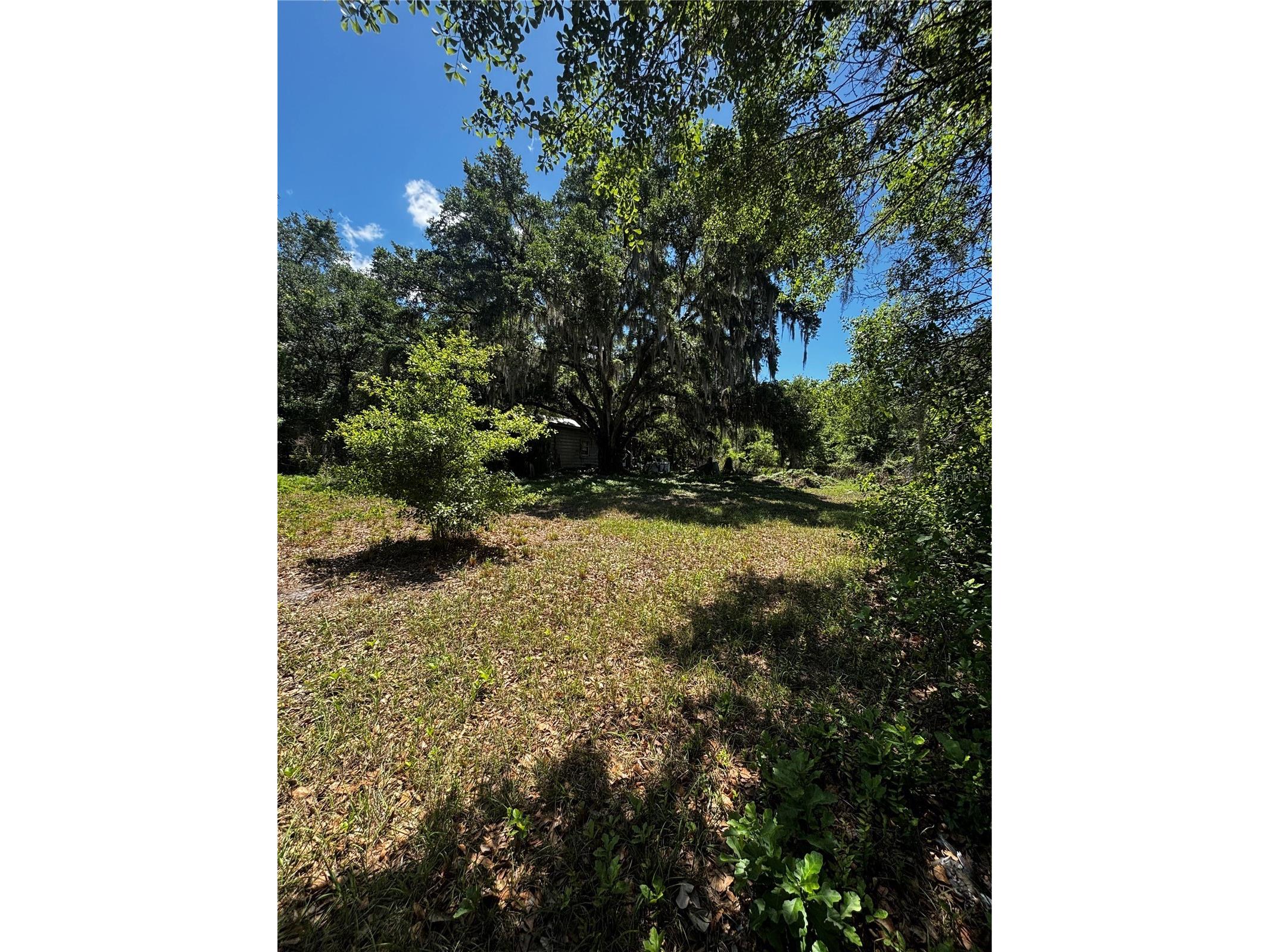 7027 Charles Humphrey Road Plant City FL 33565 L4961181 image4