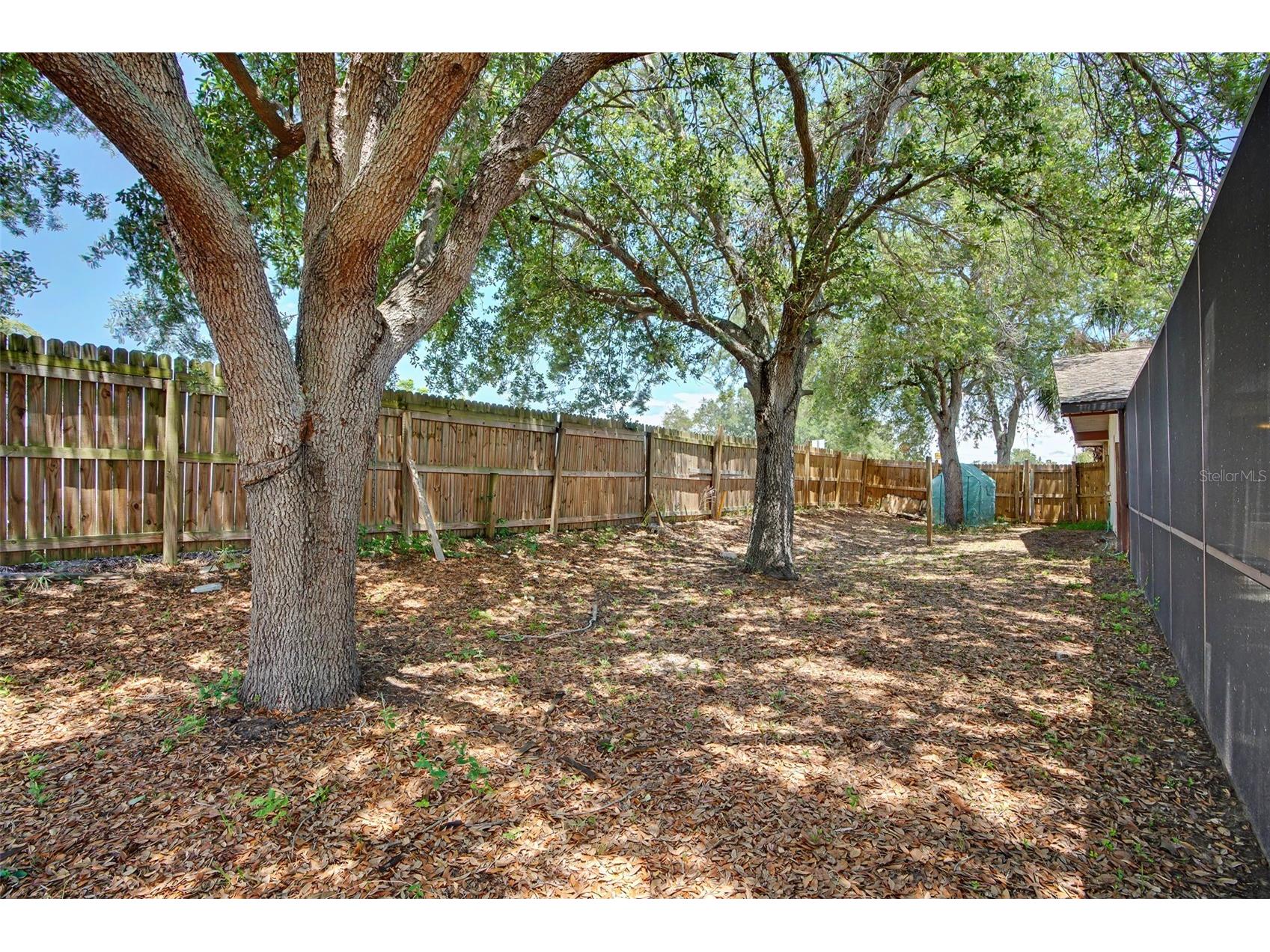 7028 Fernleaf Court Port Richey FL 34668 TB8507570 image44