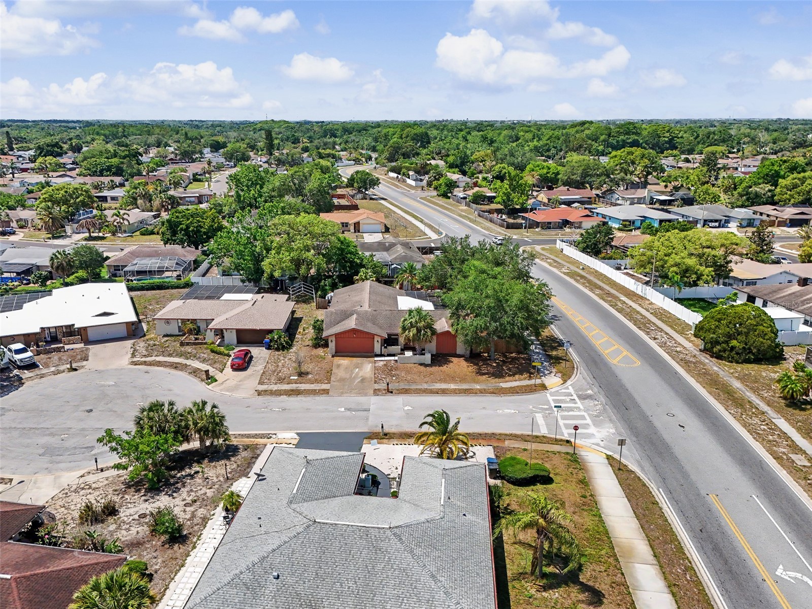 7028 Fernleaf Court Port Richey FL 34668 TB8507570 image47