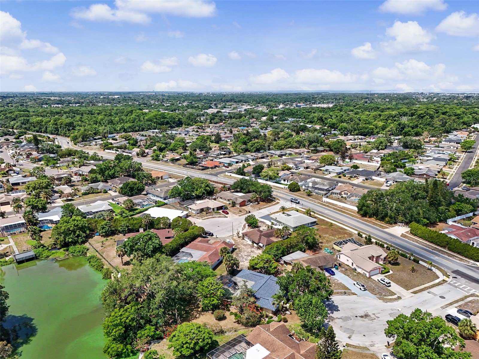 7028 Fernleaf Court Port Richey FL 34668 TB8507570 image53