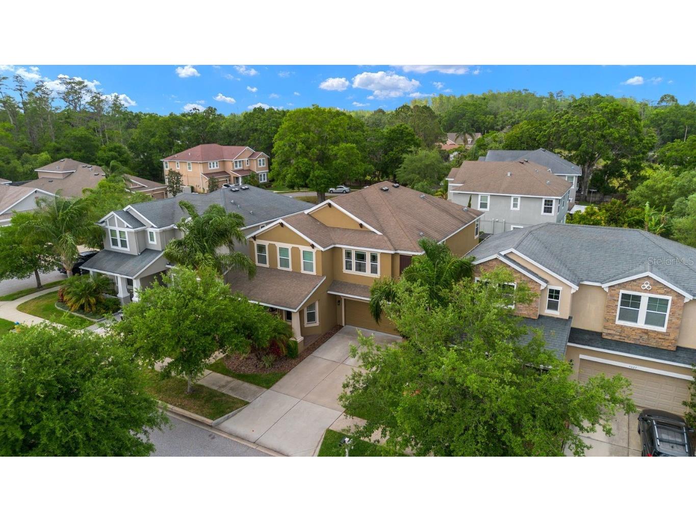 7029 Dowling Mill Circle Tampa FL 33625 TB8445821 image2