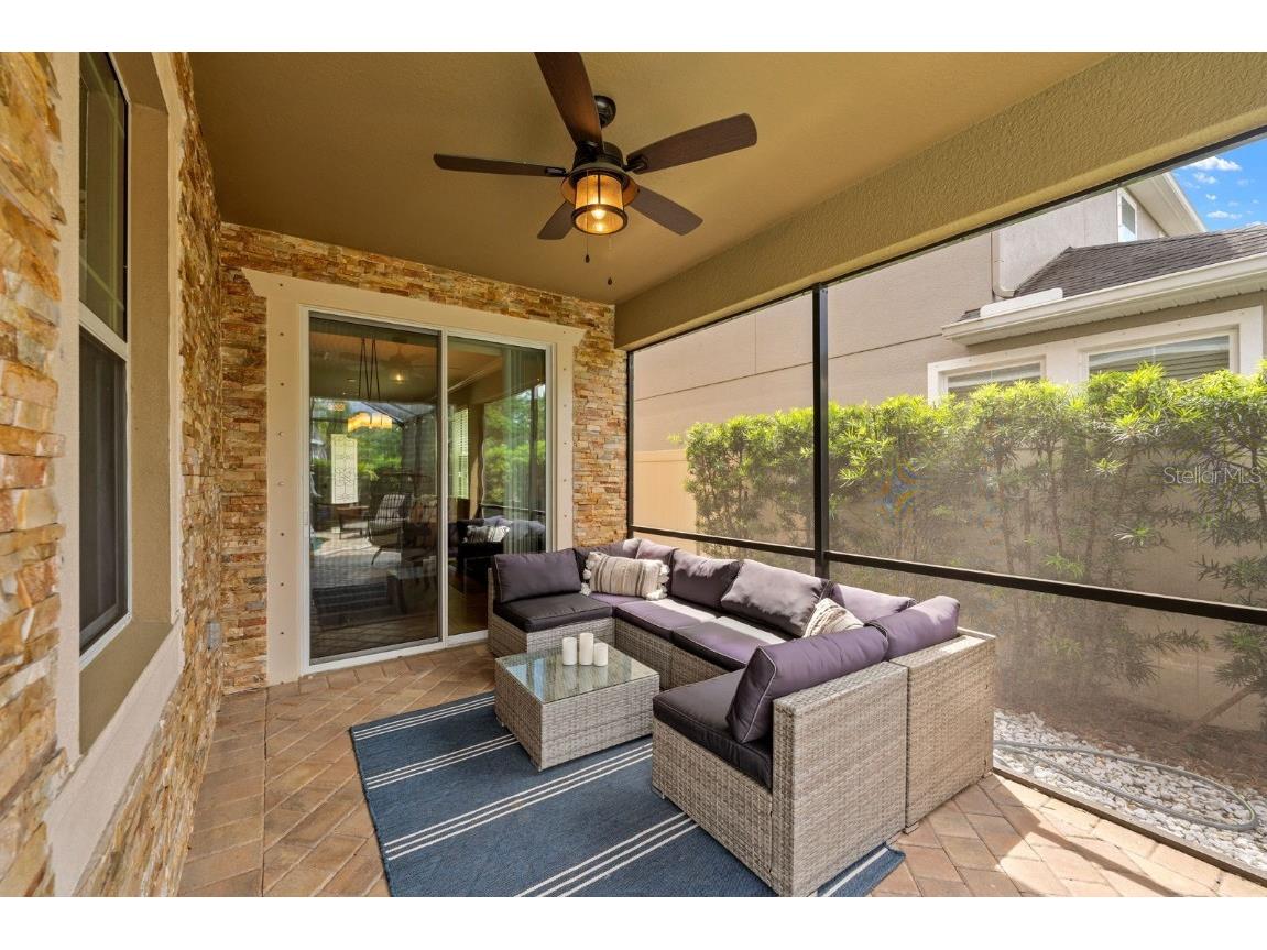 7029 Dowling Mill Circle Tampa FL 33625 TB8445821 image26