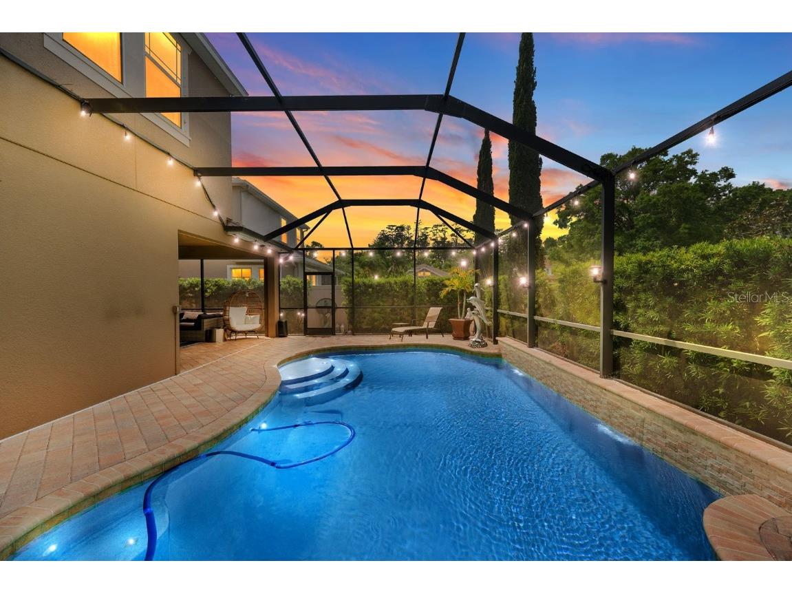 7029 Dowling Mill Circle Tampa FL 33625 TB8445821 image28