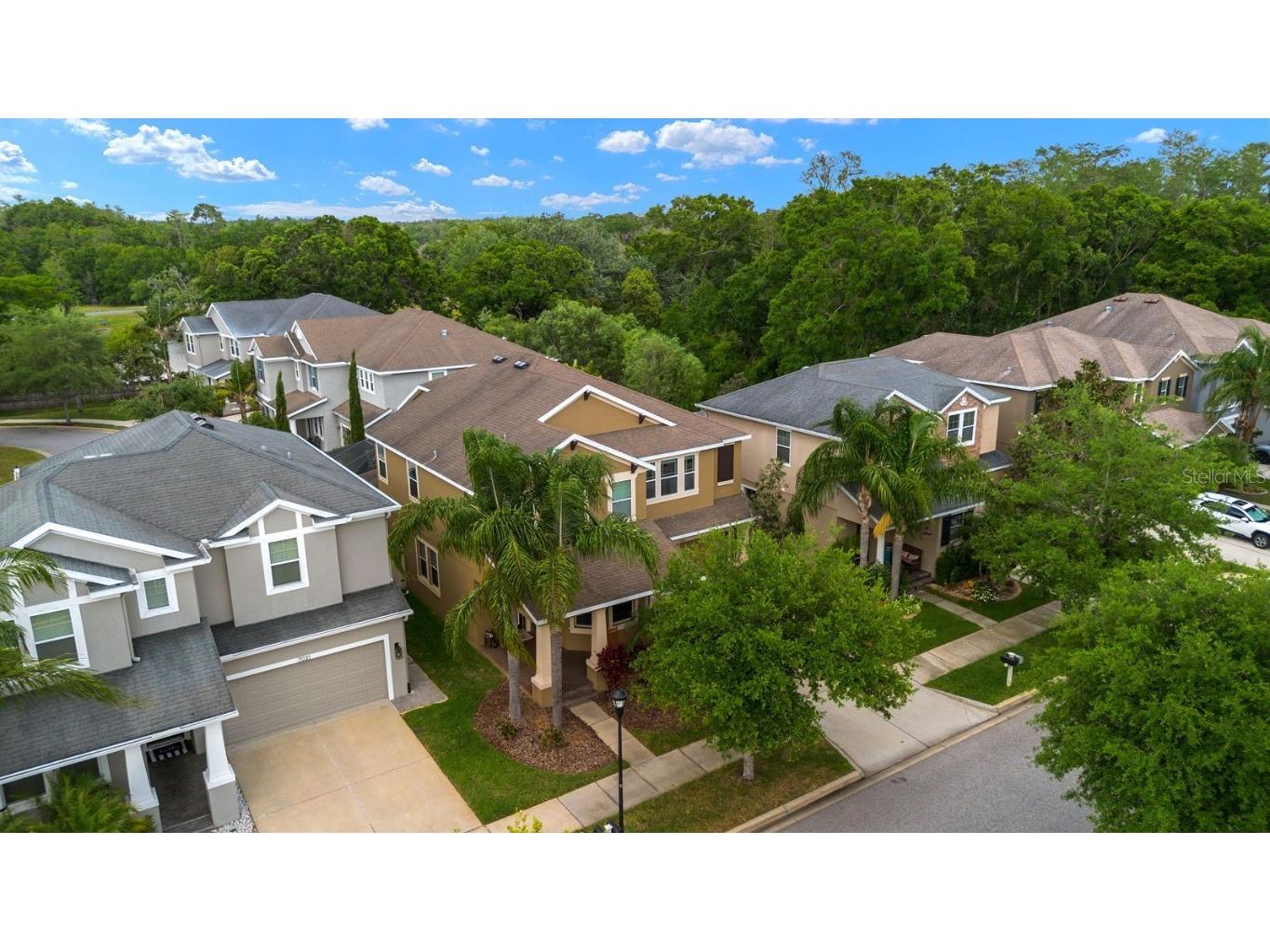 7029 Dowling Mill Circle Tampa FL 33625 TB8445821 image31