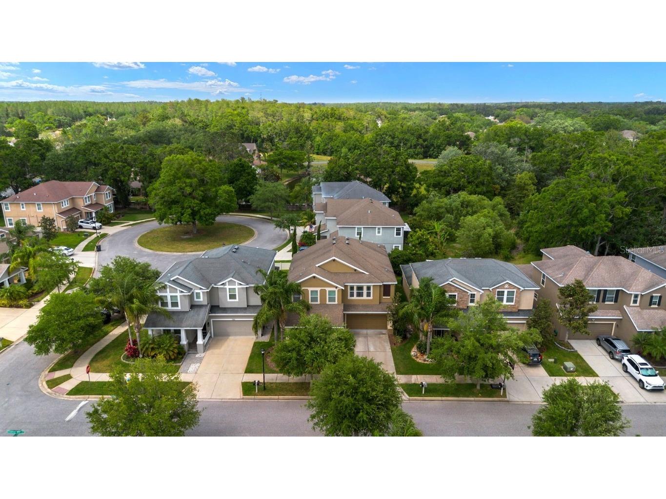 7029 Dowling Mill Circle Tampa FL 33625 TB8445821 image32