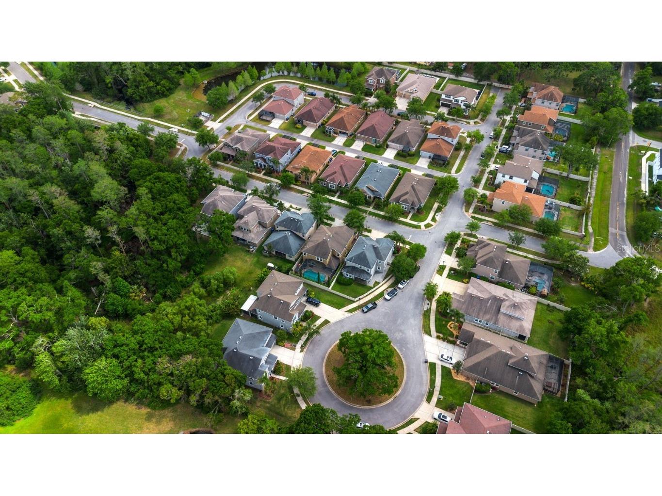 7029 Dowling Mill Circle Tampa FL 33625 TB8445821 image36