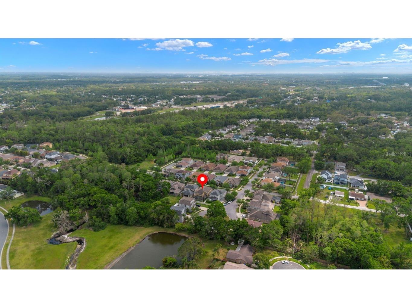 7029 Dowling Mill Circle Tampa FL 33625 TB8445821 image37