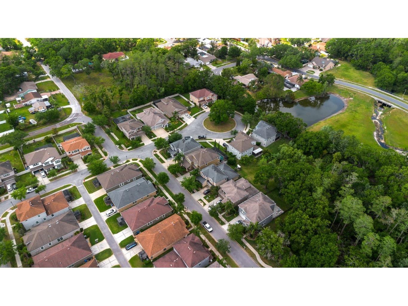 7029 Dowling Mill Circle Tampa FL 33625 TB8445821 image38