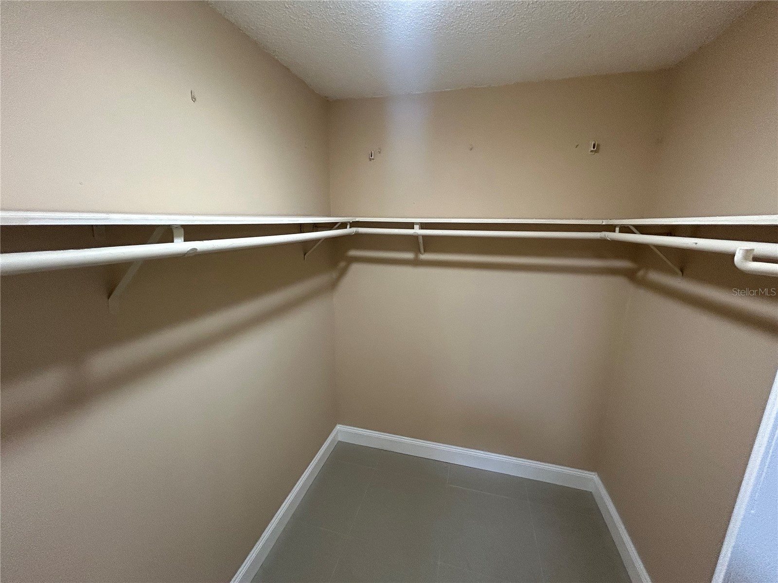 7029 Drury Street Tampa FL 33635 TB8531793 image21