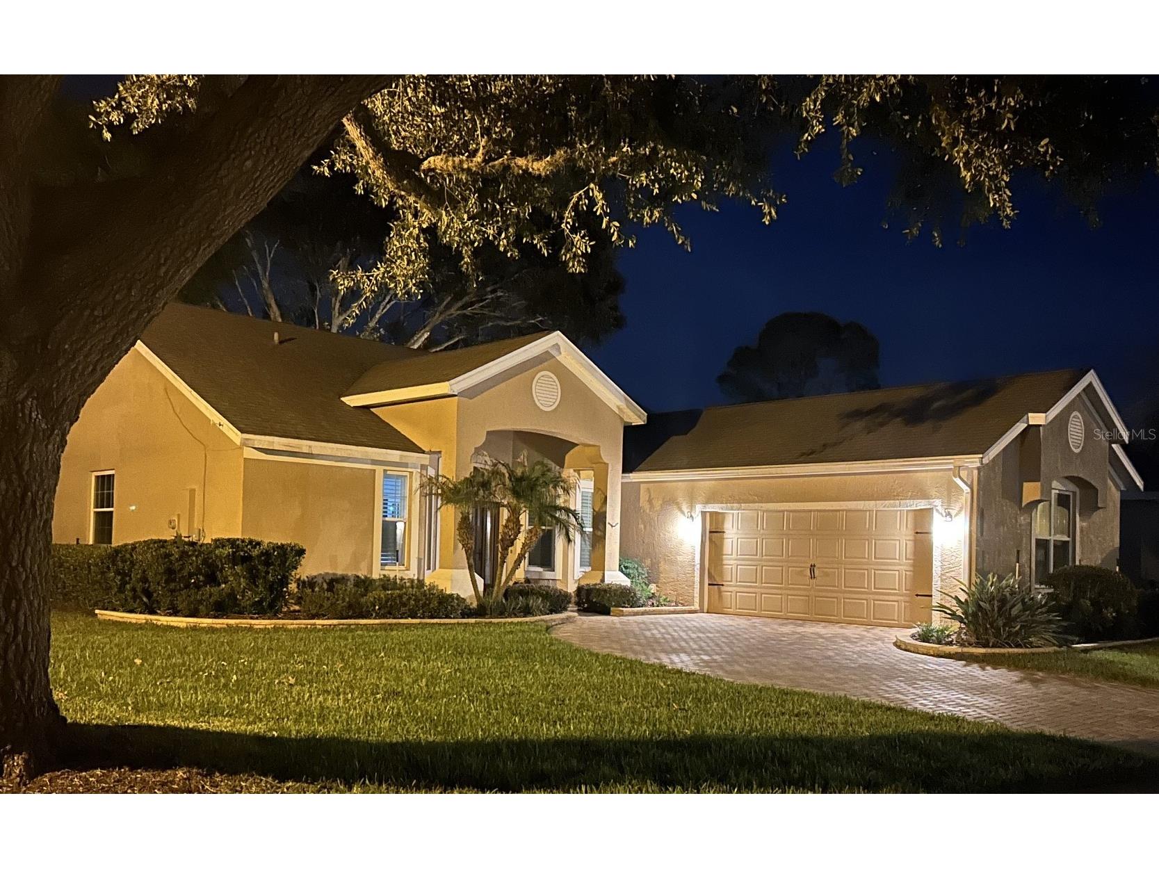 7029 Pine Hollow Drive Mount Dora FL 32757 G5114433 image2
