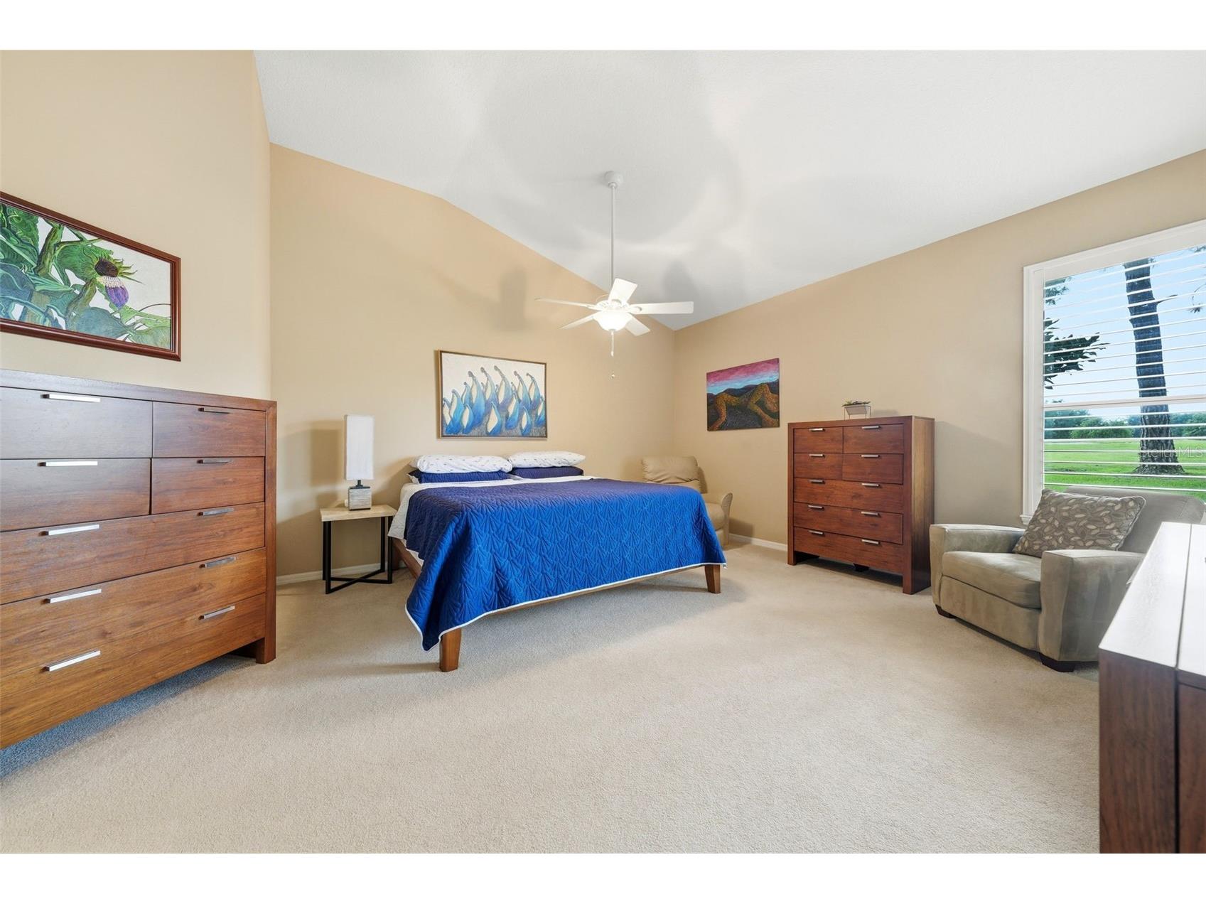7029 Pine Hollow Drive Mount Dora FL 32757 G5114433 image21