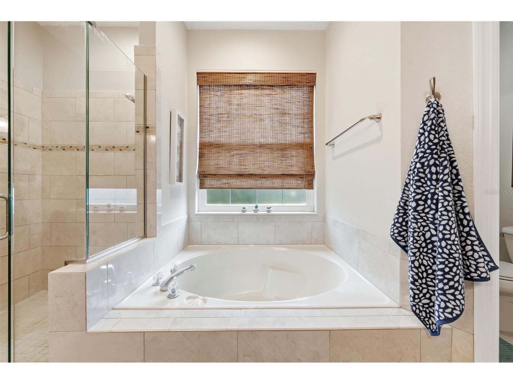 7029 Pine Hollow Drive Mount Dora FL 32757 G5114433 image27