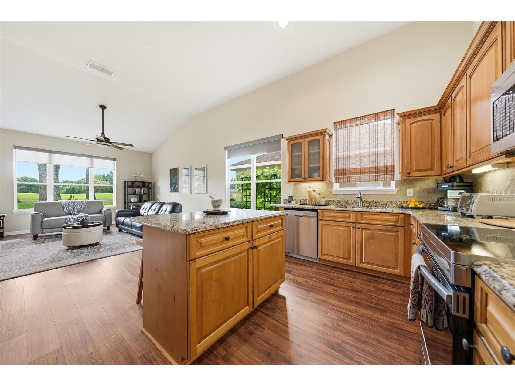 7029 Pine Hollow Drive Mount Dora FL 32757 G5114433 image36