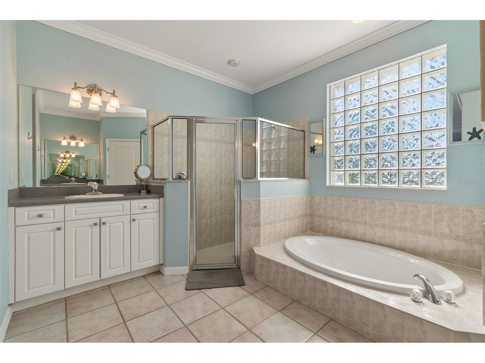 703 Bunker View Drive Apollo Beach FL 33572 TB8502608 image21