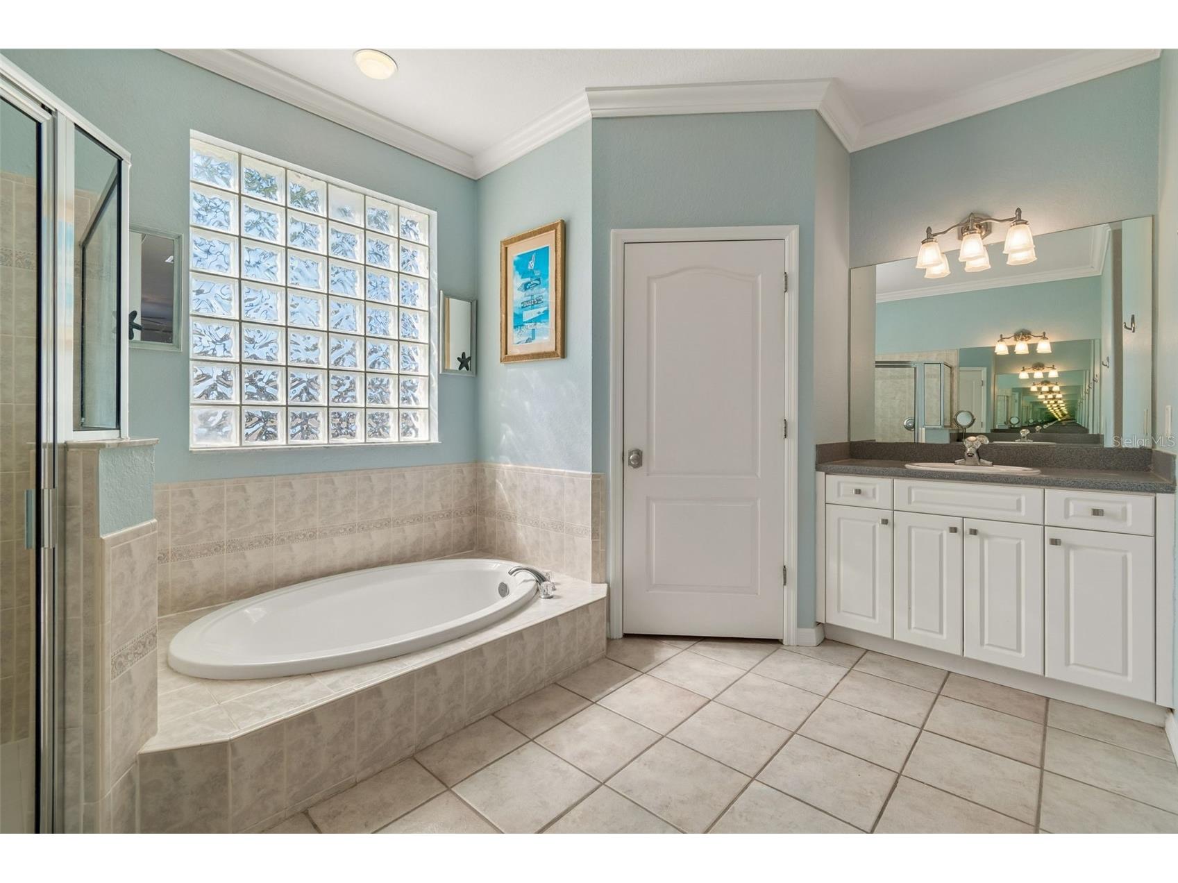 703 Bunker View Drive Apollo Beach FL 33572 TB8502608 image22