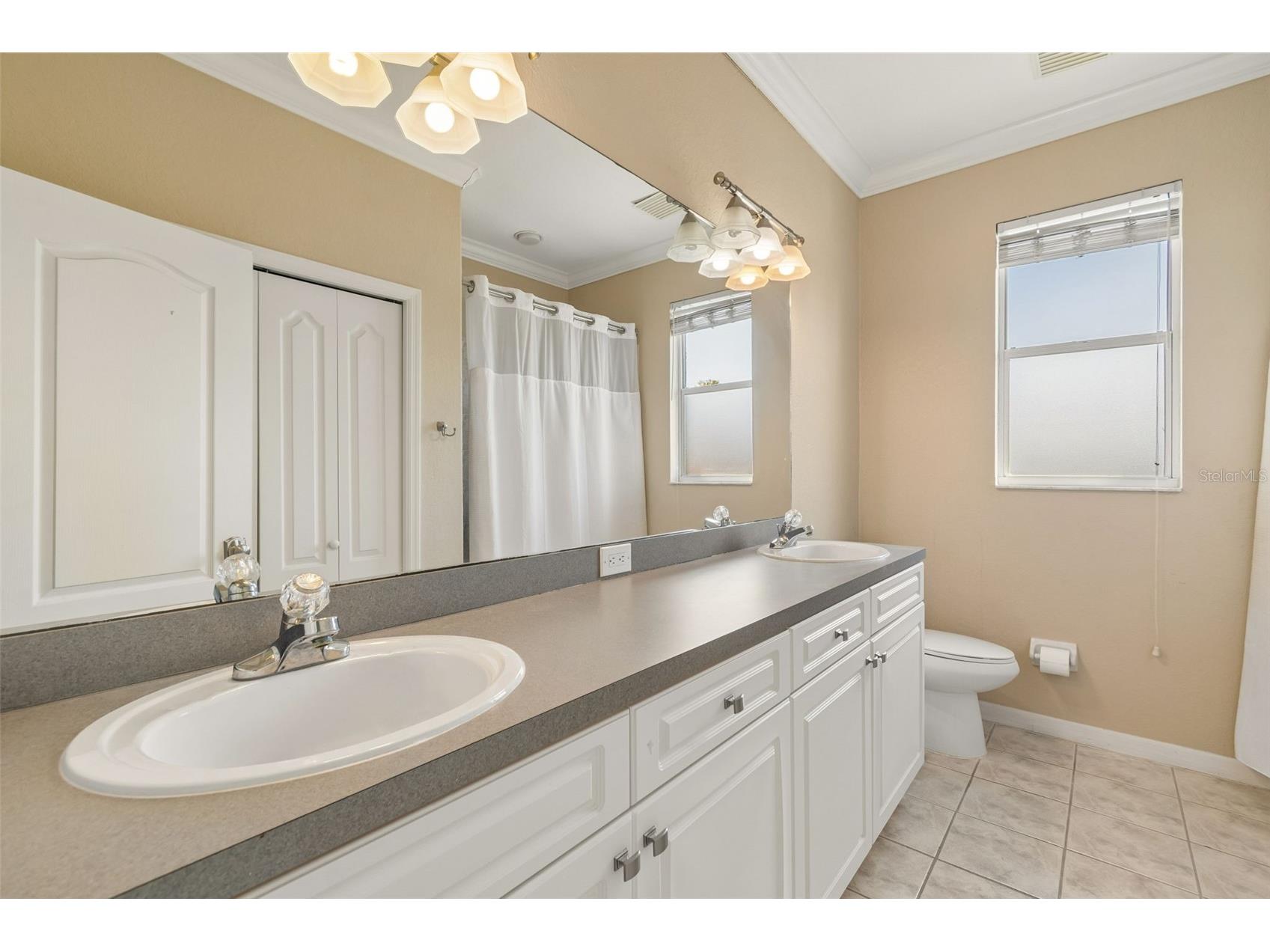 703 Bunker View Drive Apollo Beach FL 33572 TB8502608 image26