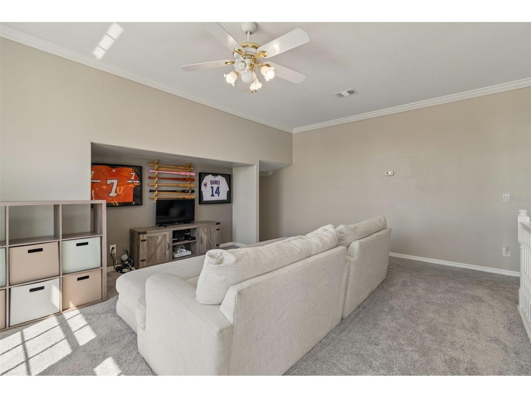 703 Bunker View Drive Apollo Beach FL 33572 TB8502608 image33