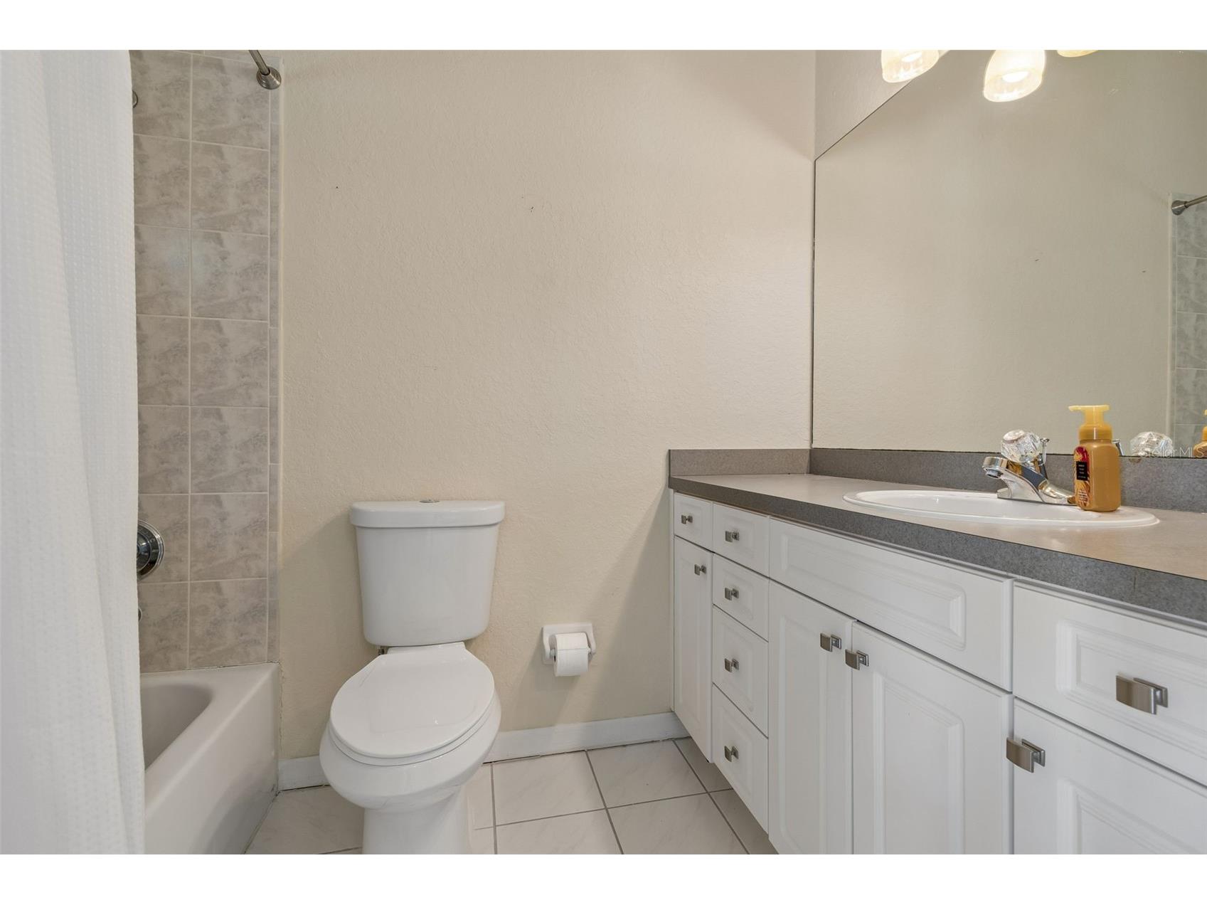 703 Bunker View Drive Apollo Beach FL 33572 TB8502608 image37