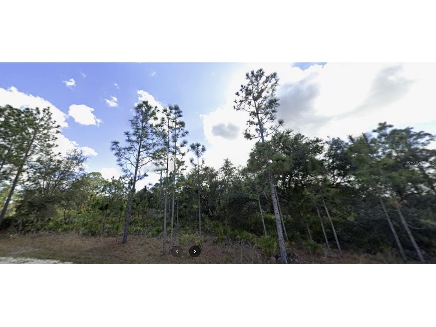 703 Gardenia Drive Indian Lake Estates FL 33855 - LAKE WALK-IN-WATER P4937328 image1