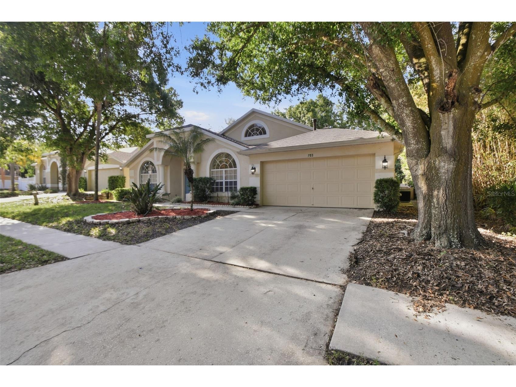 703 Grand Canyon Drive Valrico FL 33594 O6400606 image3