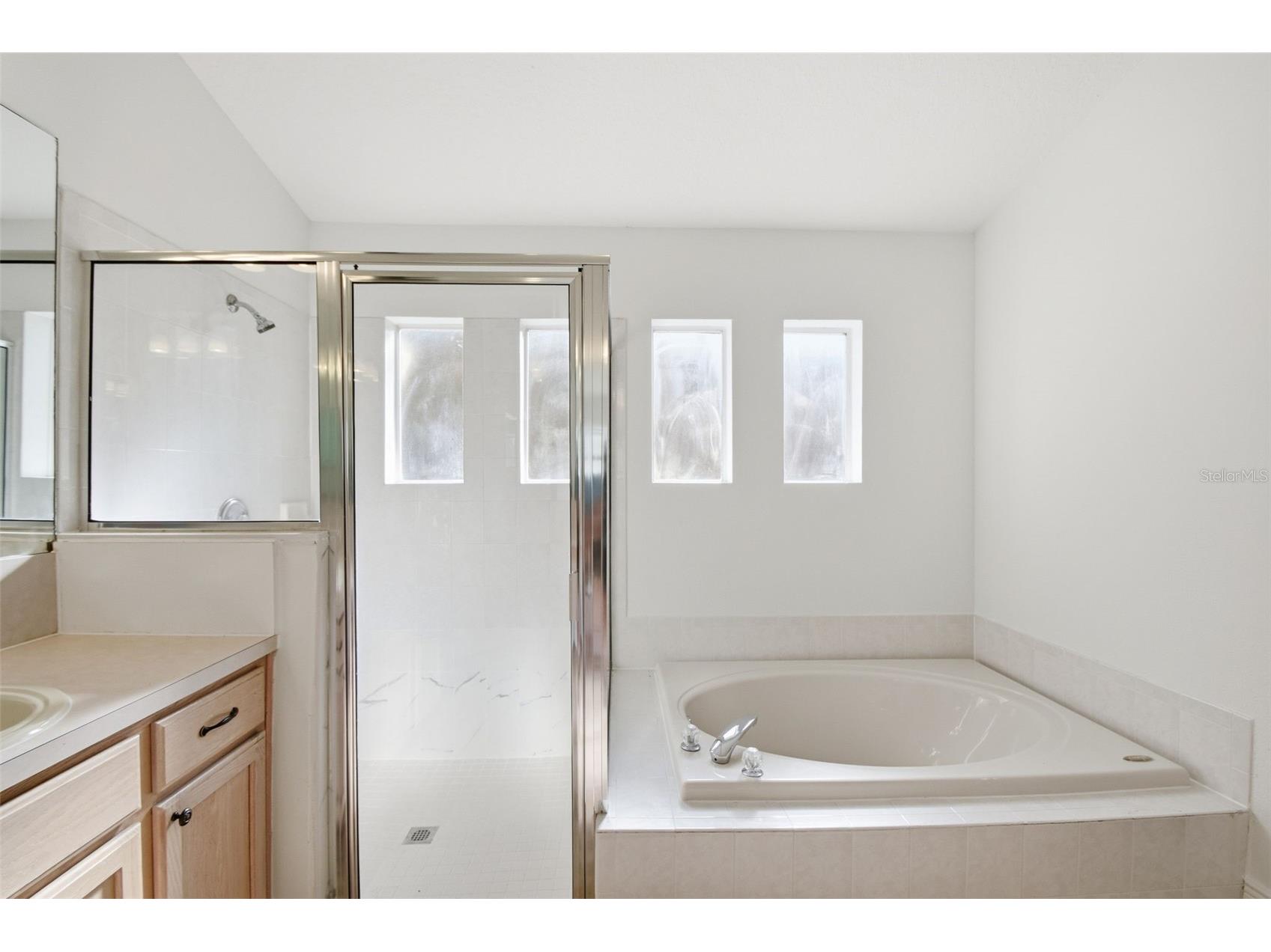 703 Grand Canyon Drive Valrico FL 33594 O6400606 image42