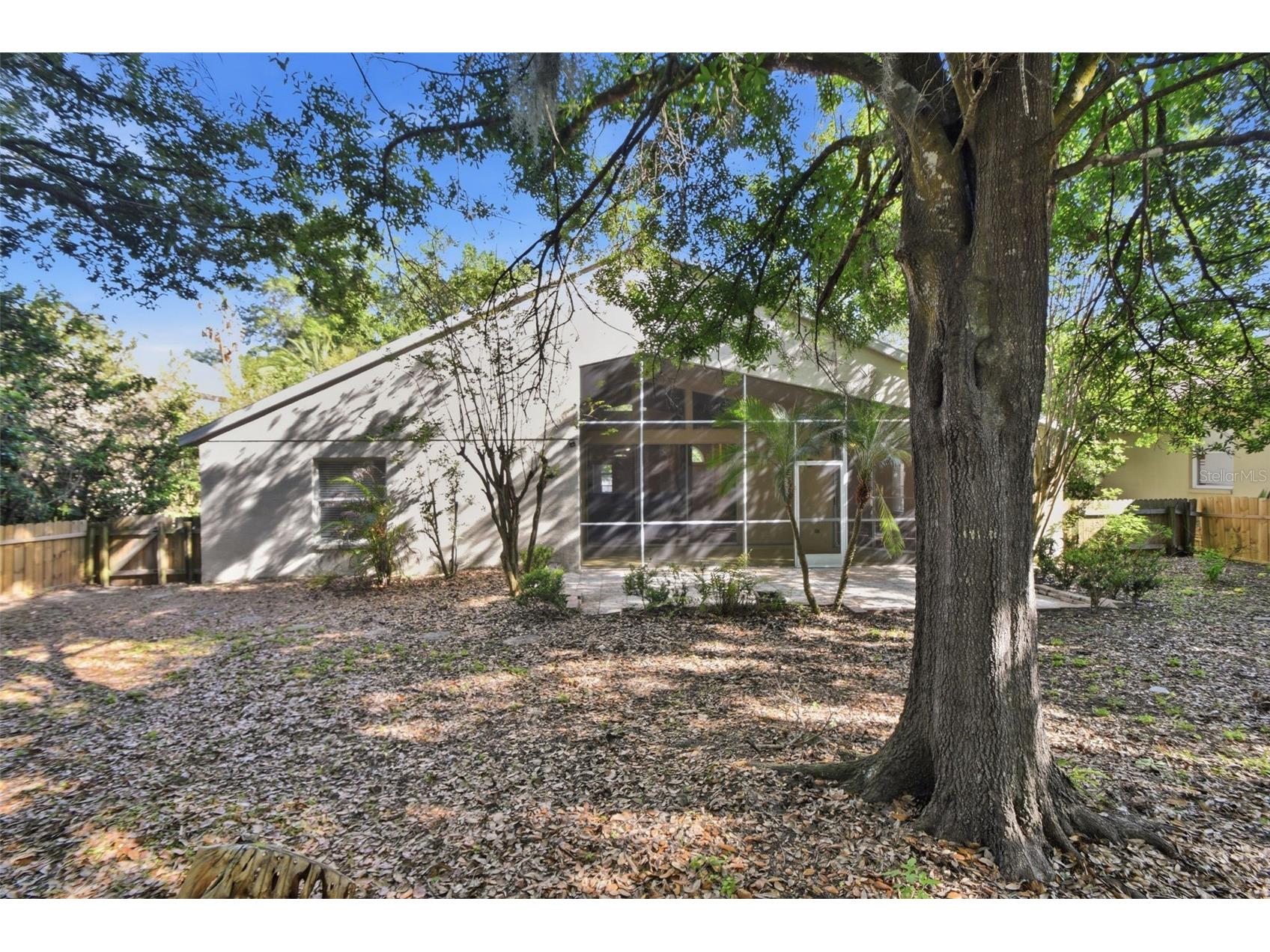 703 Grand Canyon Drive Valrico FL 33594 O6400606 image52