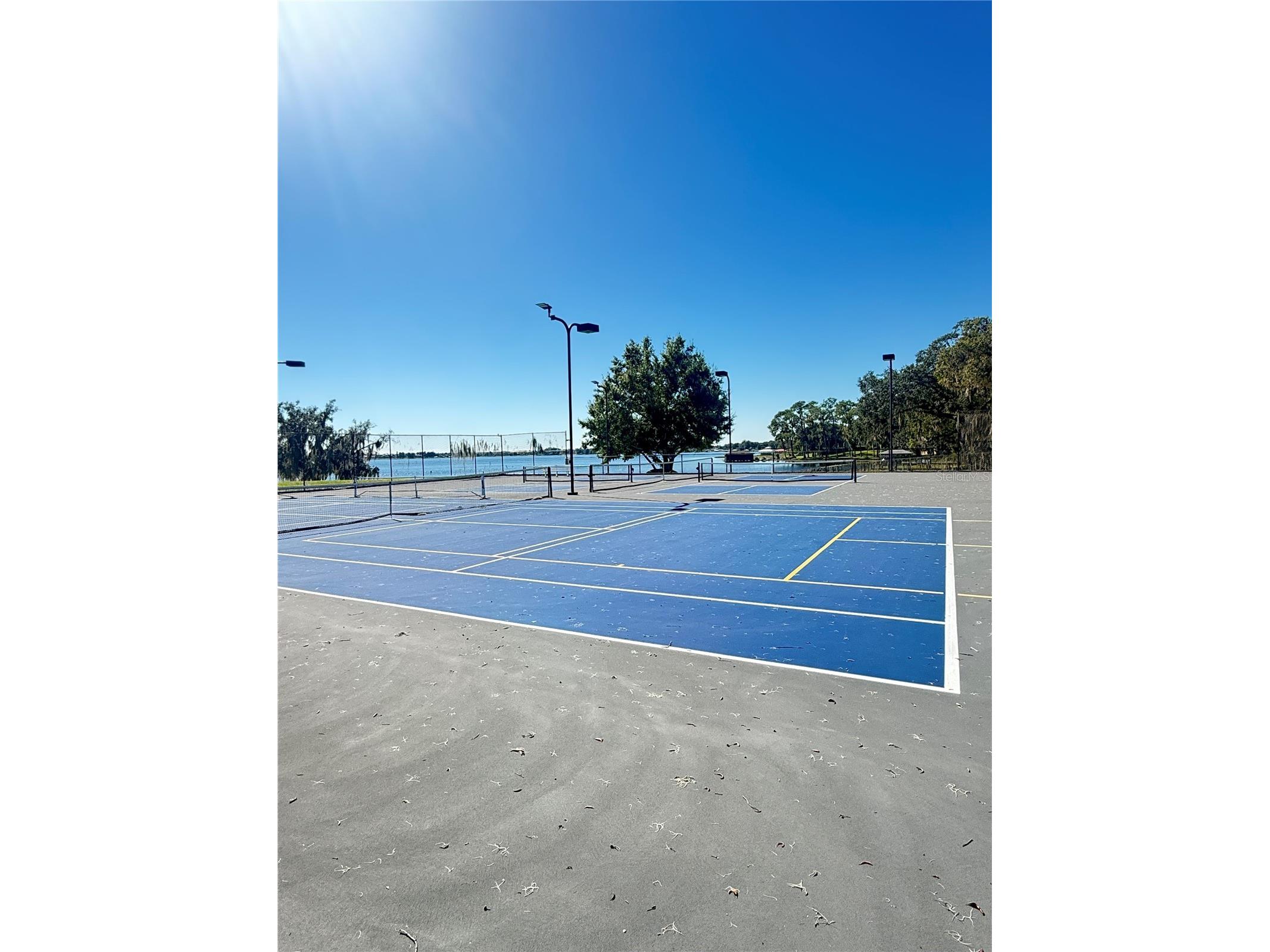 703 Magnolia Place Winter Haven FL 33884 - LAKE WINTERSET P4936880 image49