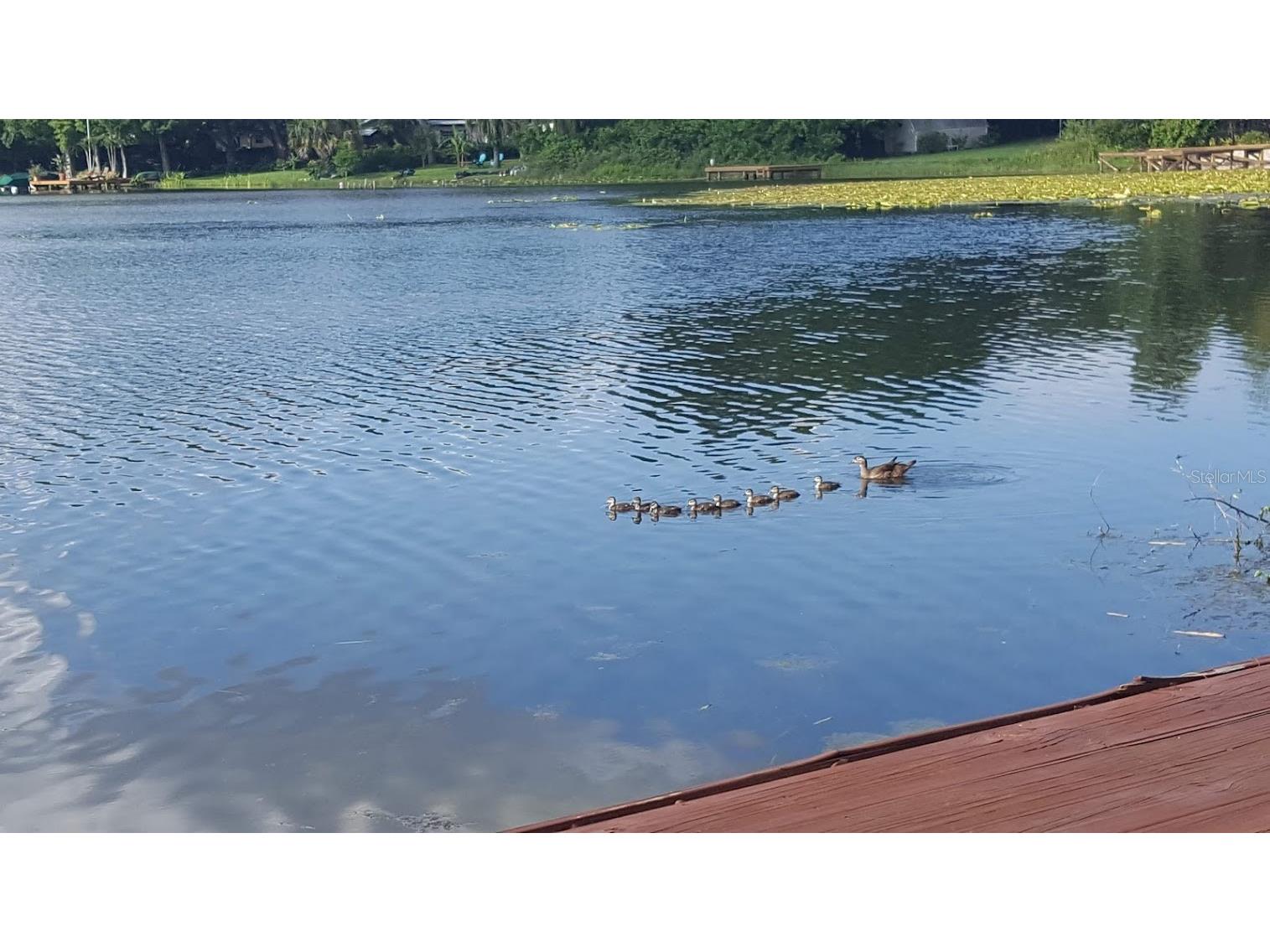 703 Meredith Street Fern Park FL 32730 - LAKE PEARL O6389152 image30
