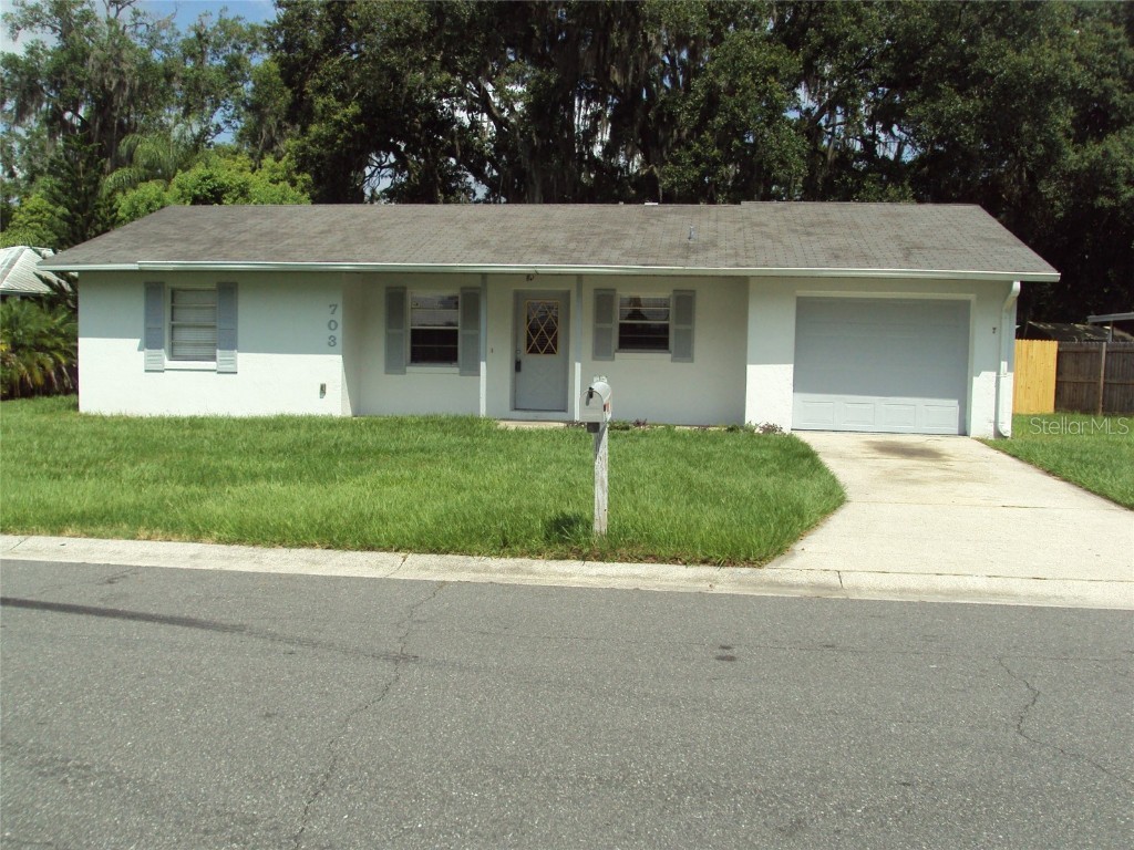 703 N Brown Street Plant City FL 33563 T3455895 image1