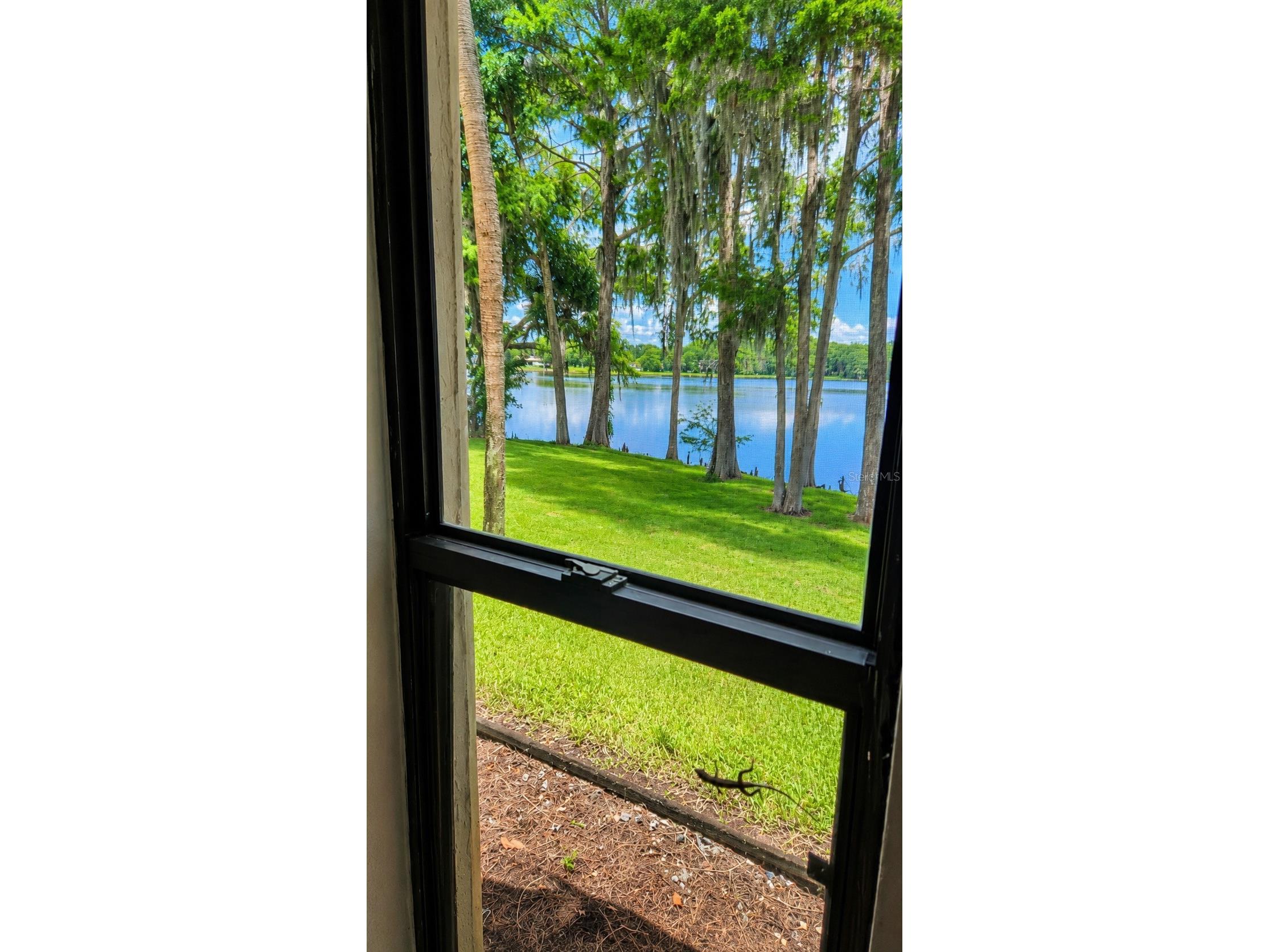 703 Northlake Drive #703 Sanford FL 32773 O6423350 image8