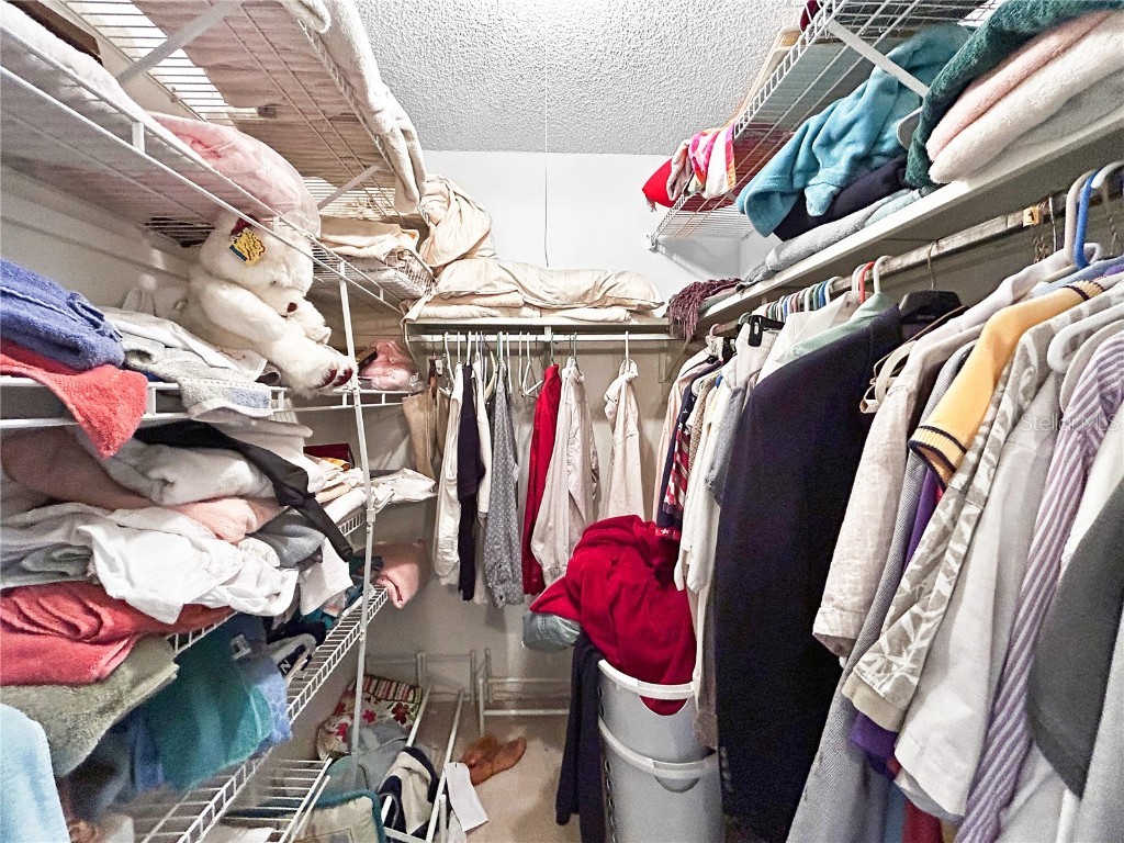 703 Ojai Avenue Sun City Center FL 33573 TB8448421 image19