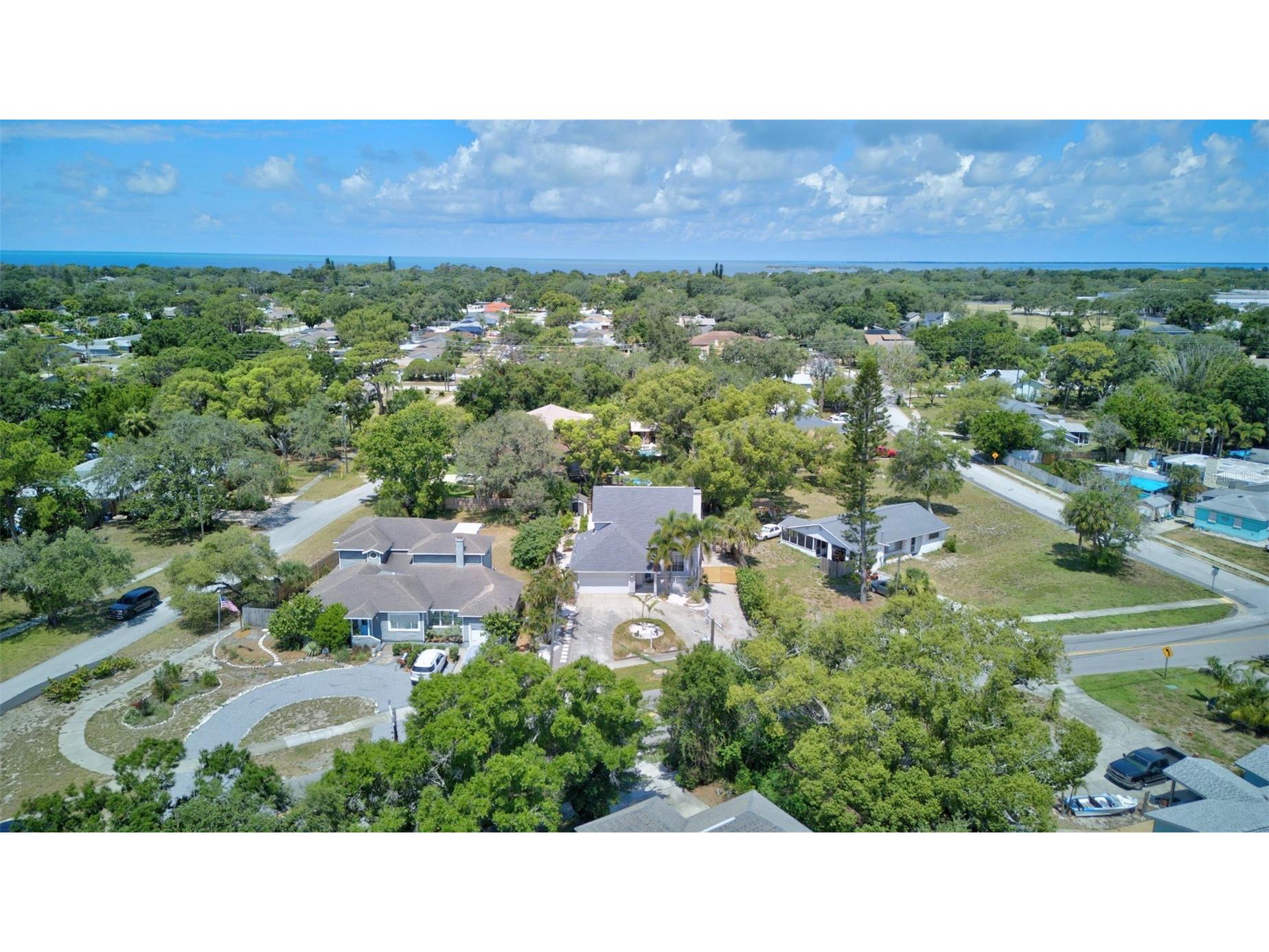 703 Riverside Drive Tarpon Springs FL 34689 TB8520013 image45