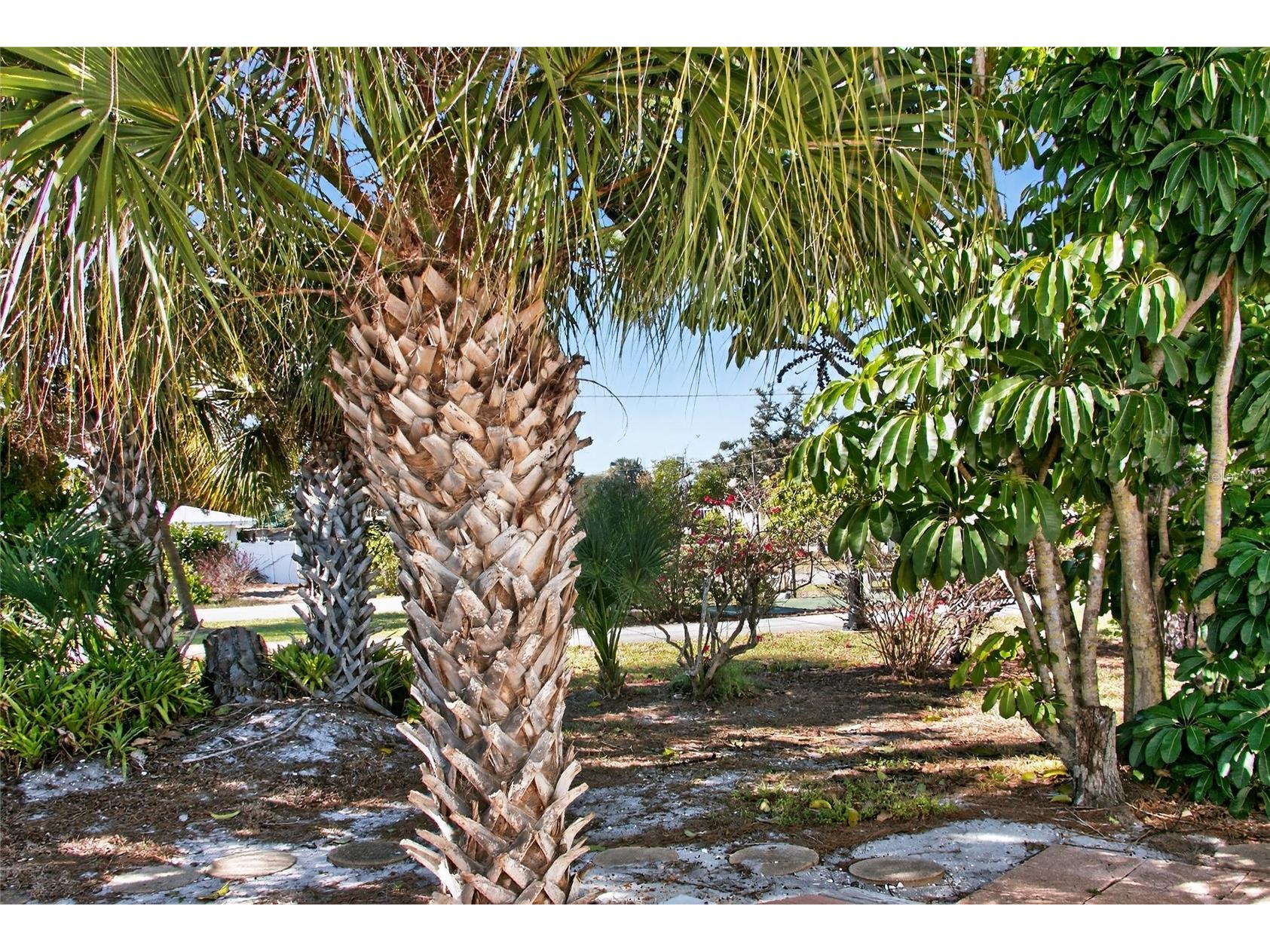 703 S Green Circle Venice FL 34285 N6142729 image35