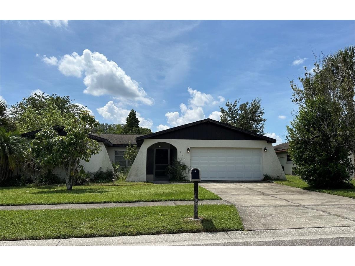 703 Sailfish Drive Brandon FL 33511 TB8422754 image1