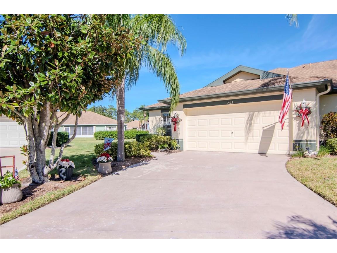 703 Tilbury Court Sun City Center FL 33573 U8222801 image1