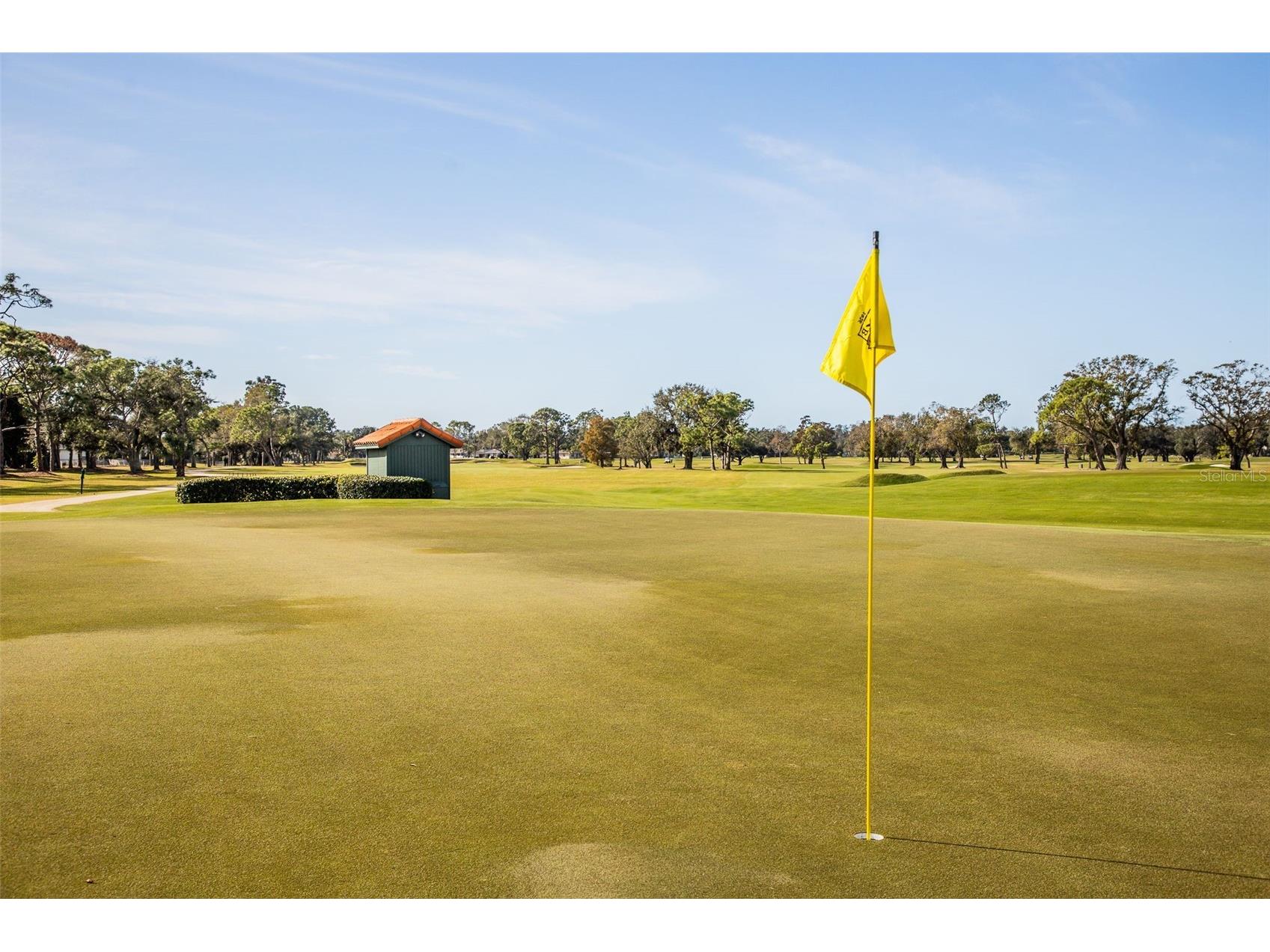 703 Whitfield Avenue Sarasota FL 34243 A4677614 image74