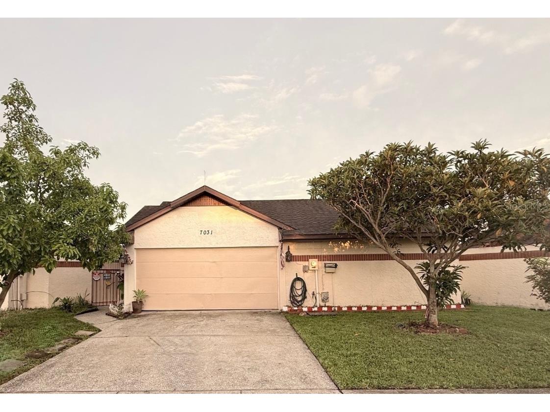 7031 Drury Street Tampa FL 33635 TB8399427 image1