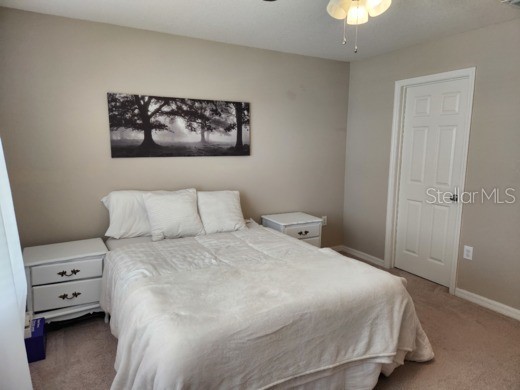 7031 Woodchase Glen Drive Riverview FL 33578 TB8525624 image10