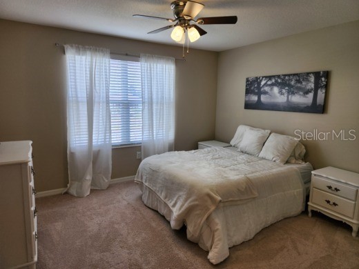 7031 Woodchase Glen Drive Riverview FL 33578 TB8525624 image9