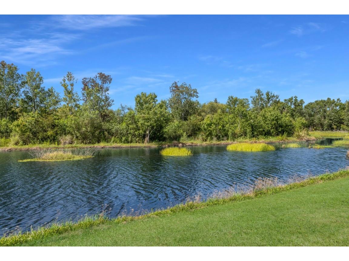 7032 Old Tabby Circle Lakewood Ranch FL 34202 A4658218 image3