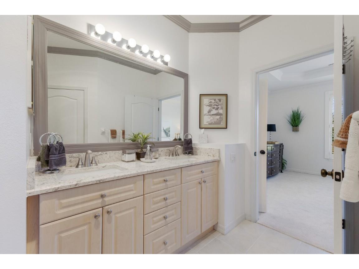 7032 Old Tabby Circle Lakewood Ranch FL 34202 A4658218 image33