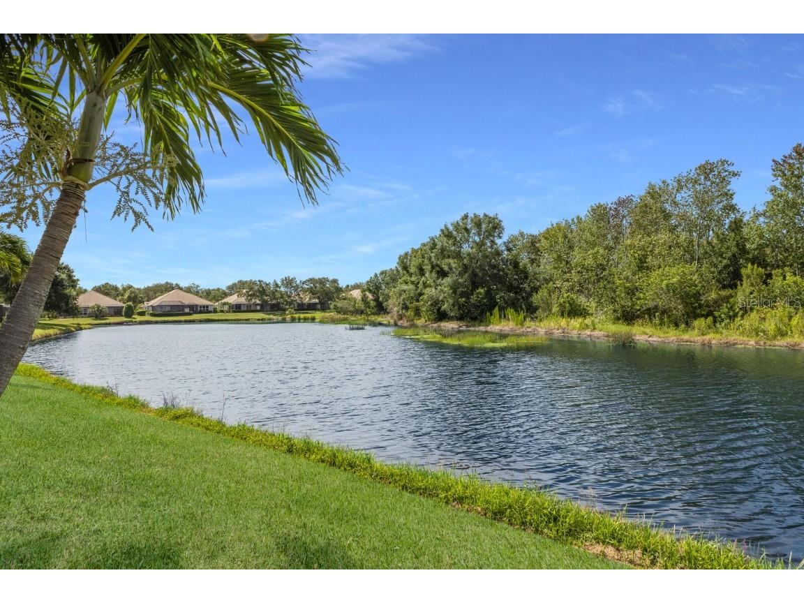 7032 Old Tabby Circle Lakewood Ranch FL 34202 A4658218 image39