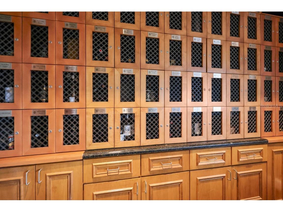 7032 Old Tabby Circle Lakewood Ranch FL 34202 A4658218 image68