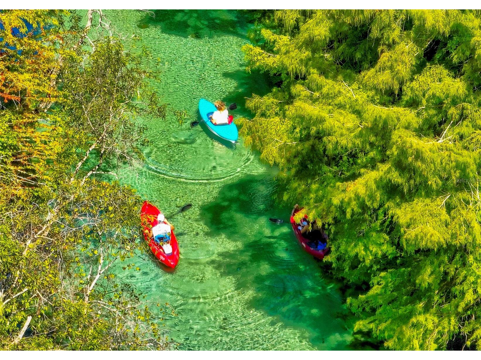 7032 River Run Boulevard Weeki Wachee FL 34607 - WEEKI WACHEE RIVER W7884946 image1
